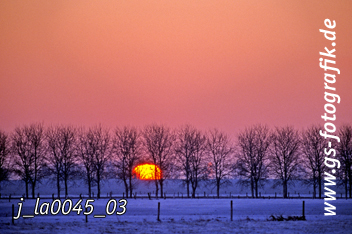 Bild in den Warenkorb legen