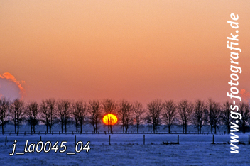 Bild in den Warenkorb legen