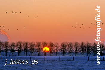 Bild in den Warenkorb legen