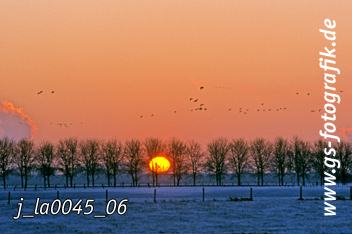 Bild in den Warenkorb legen