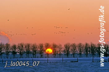 Bild in den Warenkorb legen