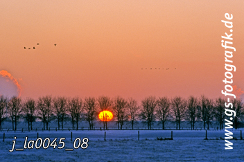 Bild in den Warenkorb legen