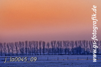 Bild in den Warenkorb legen