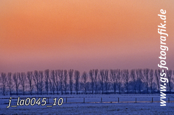 Bild in den Warenkorb legen