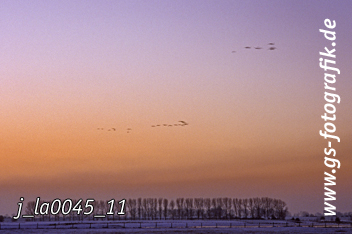 Bild in den Warenkorb legen