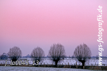 Bild in den Warenkorb legen