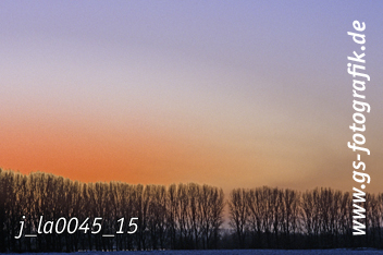 Bild in den Warenkorb legen