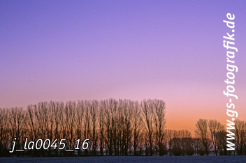 Bild in den Warenkorb legen