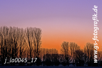 Bild in den Warenkorb legen