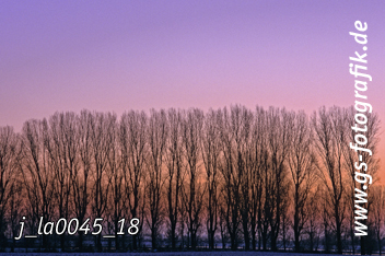 Bild in den Warenkorb legen