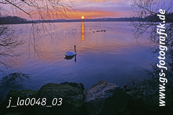 Bild in den Warenkorb legen