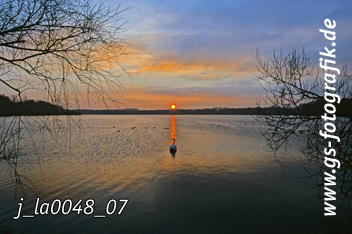 Bild in den Warenkorb legen