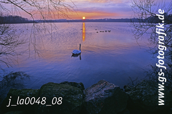 Bild in den Warenkorb legen