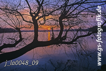 Bild in den Warenkorb legen