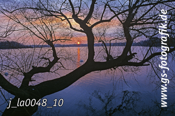 Bild in den Warenkorb legen