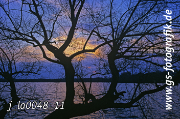 Bild in den Warenkorb legen