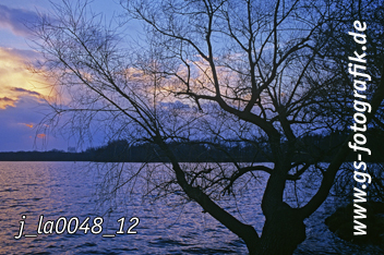 Bild in den Warenkorb legen