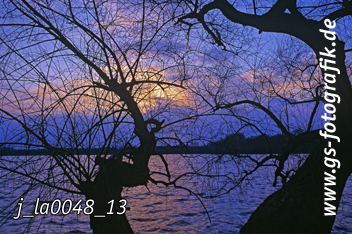 Bild in den Warenkorb legen