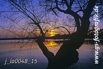 Bild in den Warenkorb legen