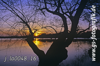 Bild in den Warenkorb legen