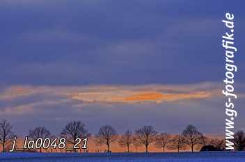 Bild in den Warenkorb legen