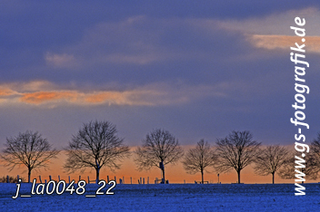 Bild in den Warenkorb legen