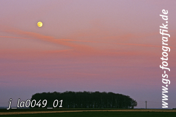 Bild in den Warenkorb legen