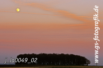 Bild in den Warenkorb legen