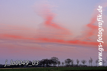 Bild in den Warenkorb legen