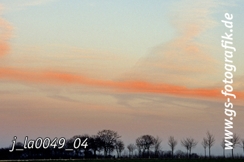 Bild in den Warenkorb legen