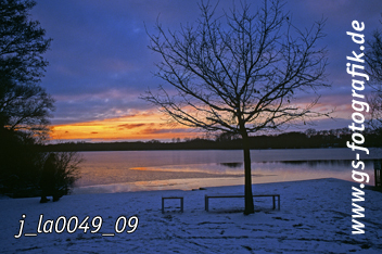 Bild in den Warenkorb legen