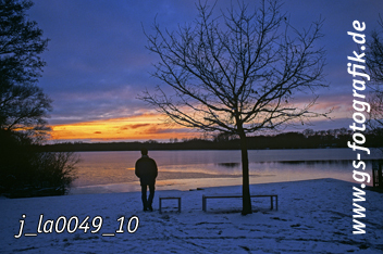 Bild in den Warenkorb legen