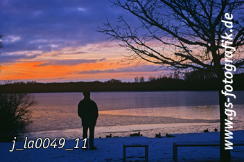 Bild in den Warenkorb legen