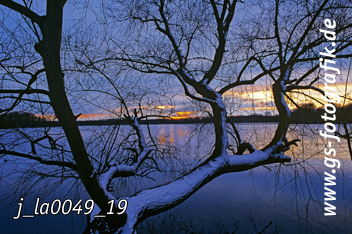 Bild in den Warenkorb legen