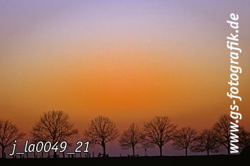 Bild in den Warenkorb legen