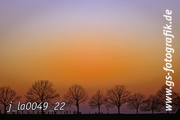 Bild in den Warenkorb legen